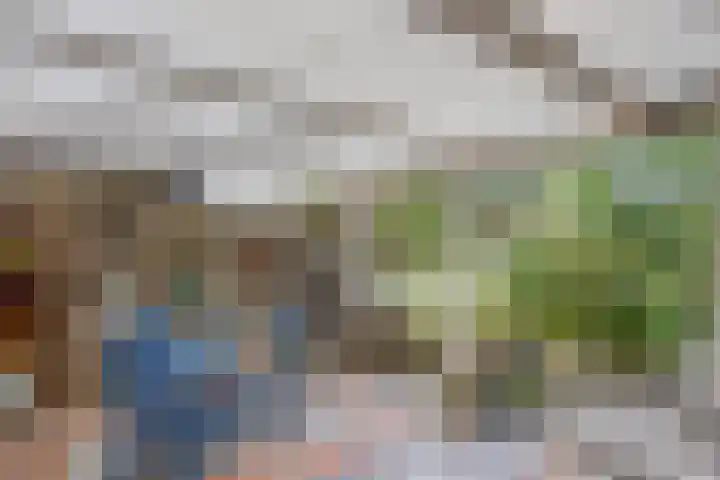 Esdoornlaan 2 Eijsden thumbnail 28