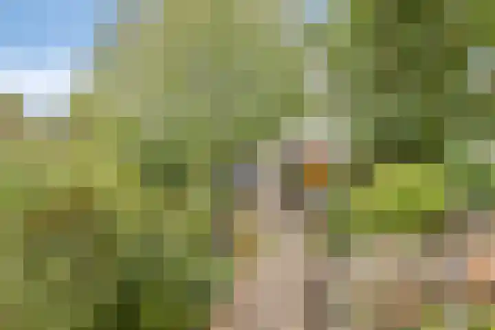 Esdoornlaan 2 Eijsden thumbnail 32