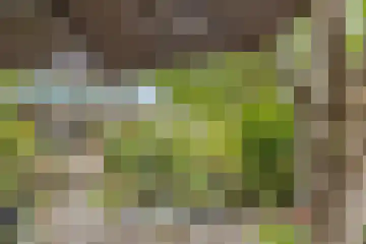 Esdoornlaan 2 Eijsden thumbnail 33