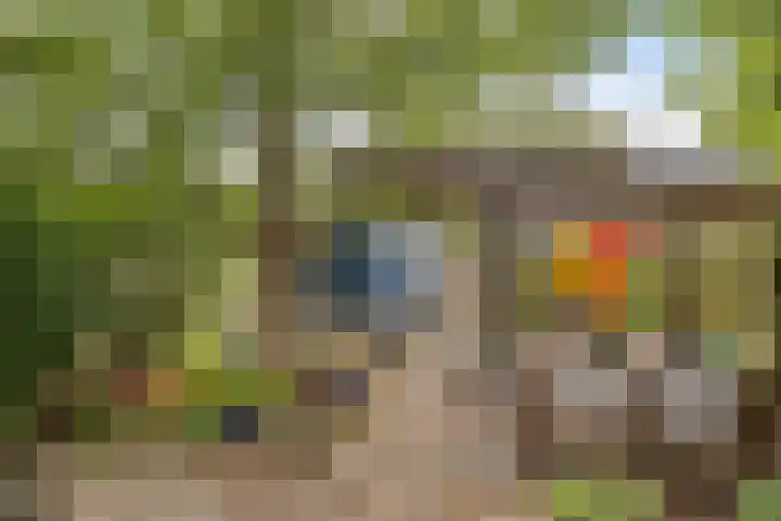 Esdoornlaan 2 Eijsden thumbnail 34