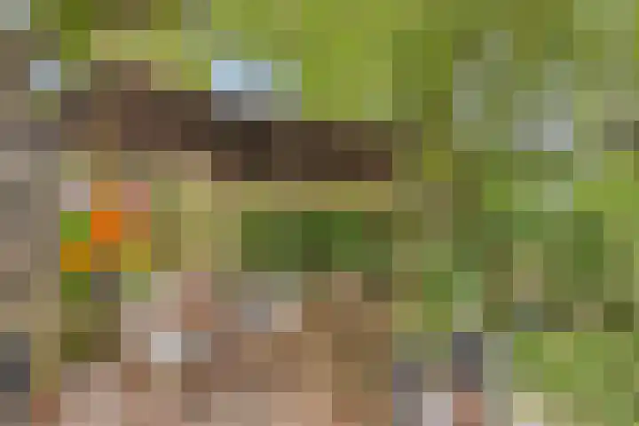 Esdoornlaan 2 Eijsden thumbnail 35