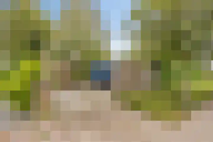 Esdoornlaan 2 Eijsden thumbnail 36