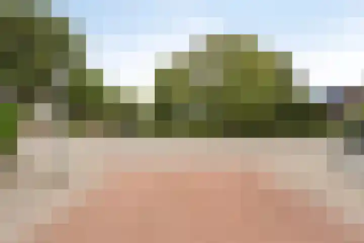 Esdoornlaan 2 Eijsden thumbnail 40