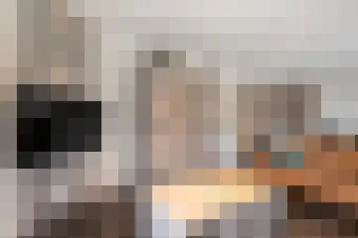 Esdoornlaan 2 Rouveen thumbnail 13