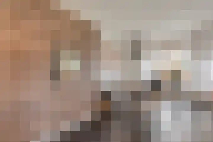 Esdoornlaan 2 Rouveen thumbnail 17