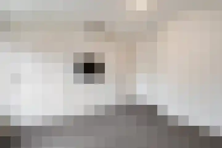 Esdoornlaan 2 Rouveen thumbnail 34