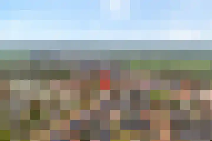 Esdoornlaan 2 Rouveen thumbnail 4