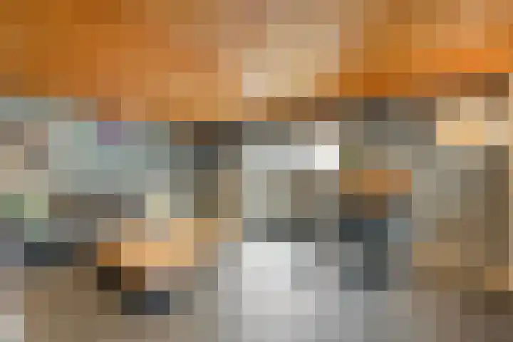 Esdoornlaan 2 Rouveen thumbnail 41