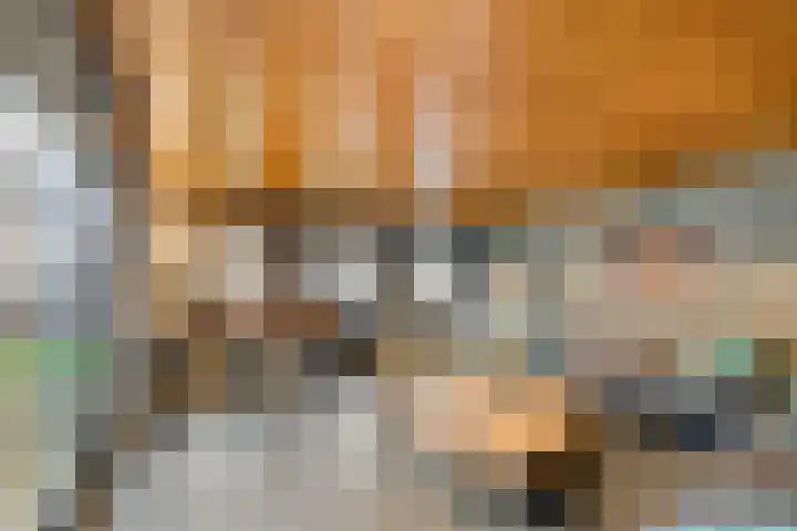 Esdoornlaan 2 Rouveen thumbnail 42