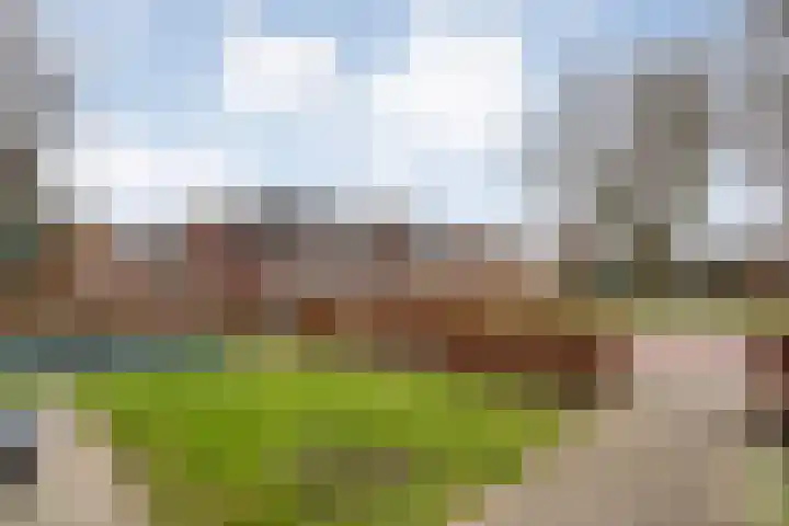 Esdoornlaan 2 Rouveen thumbnail 47