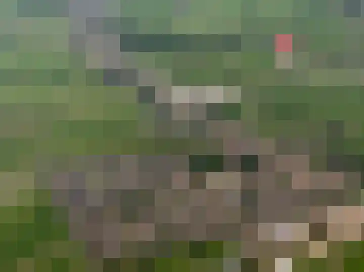 Esdoornlaan 2 Rouveen thumbnail 49