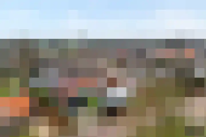 Esdoornlaan 2 Rouveen thumbnail 5