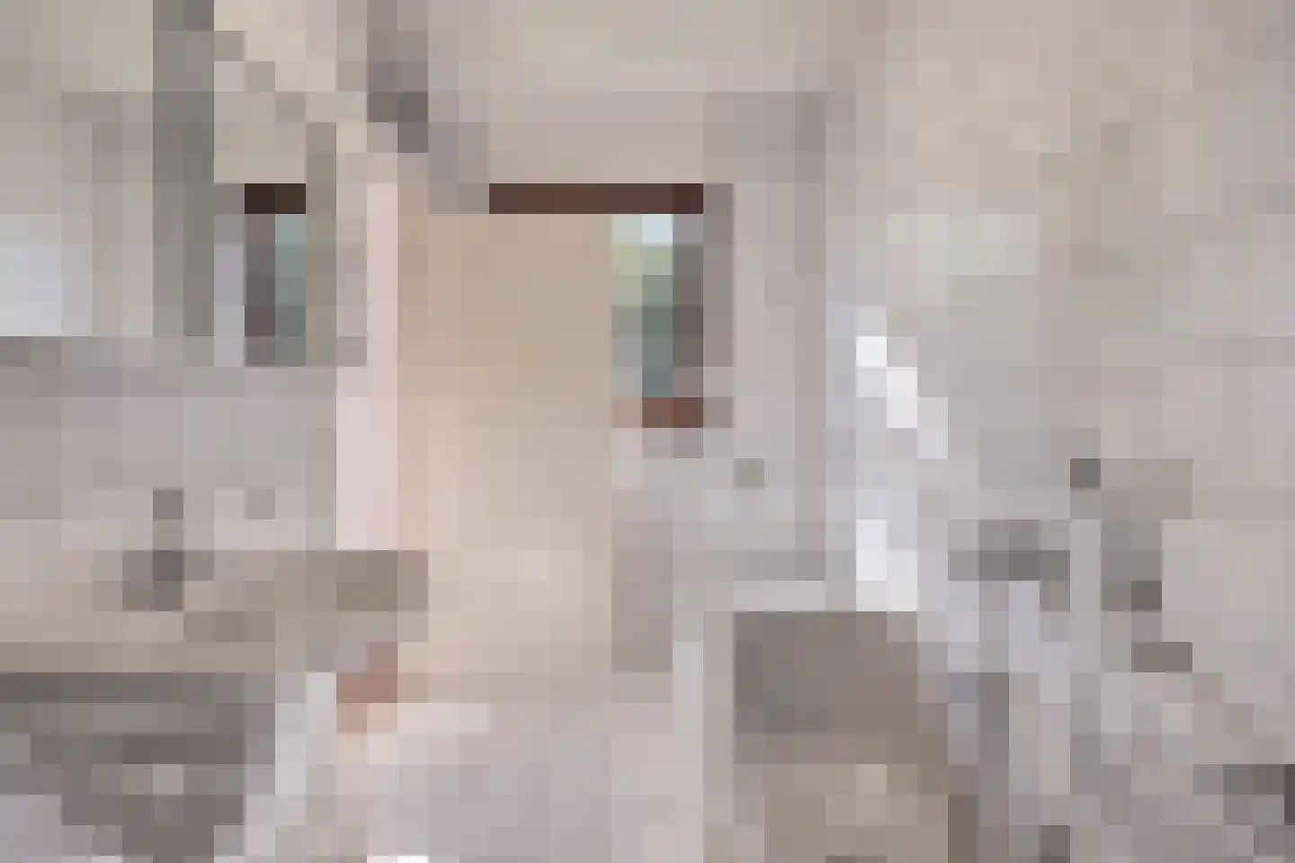 Esdoornlaan 2 Vlodrop thumbnail 18
