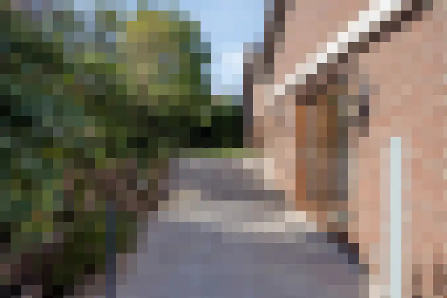 Esdoornlaan 2 Vlodrop thumbnail 31