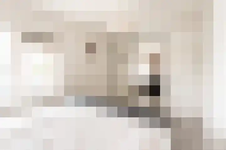 Esdoornlaan 2 Zwanenburg thumbnail 20