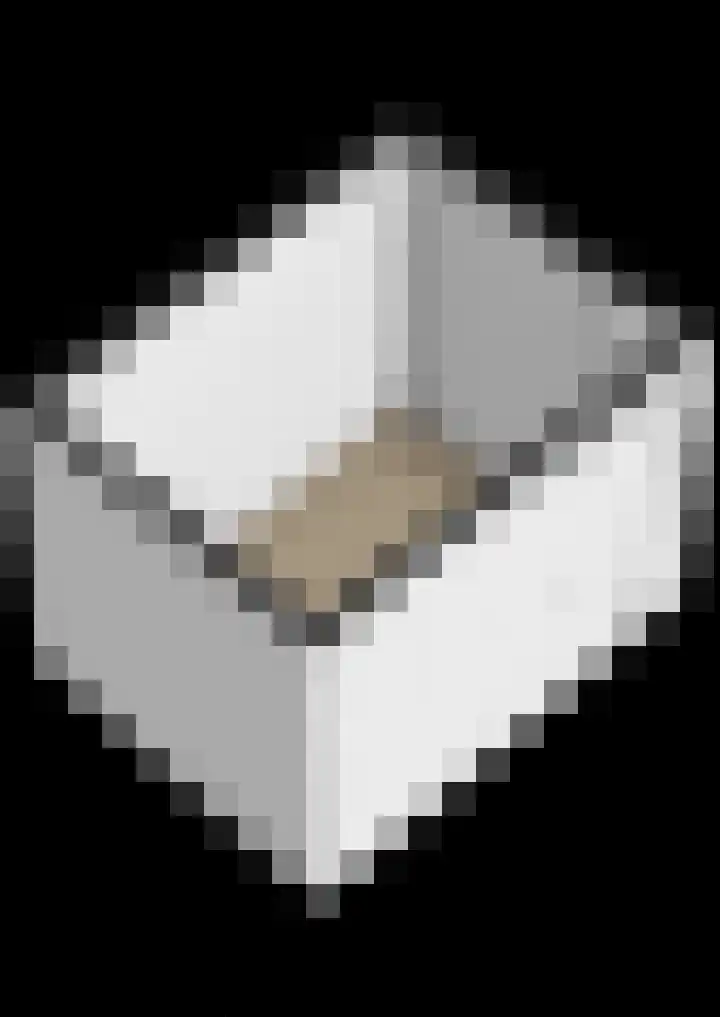 Esdoornlaan 2 Zwanenburg thumbnail 34