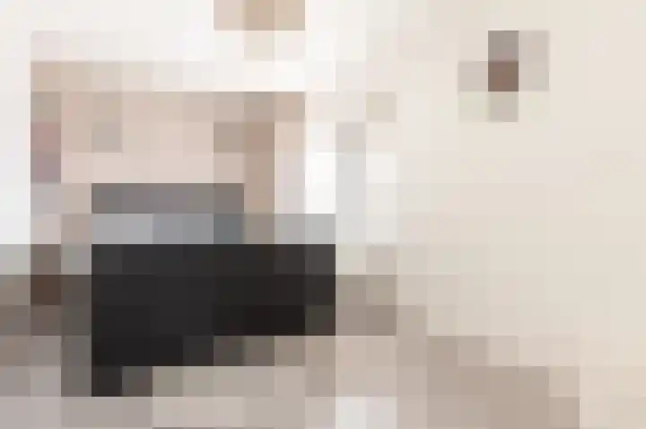 Esdoornlaan 2 Zwanenburg thumbnail 5