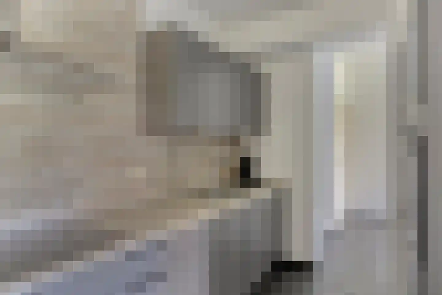 Esdoornlaan 20 Vlodrop thumbnail 14
