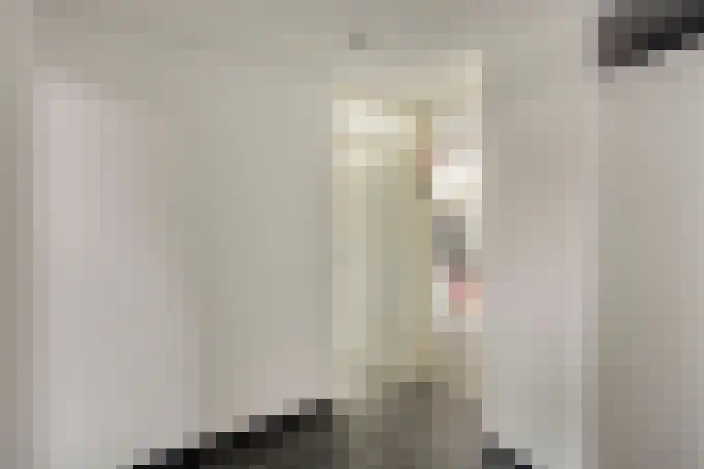 Esdoornlaan 20 Vlodrop thumbnail 17