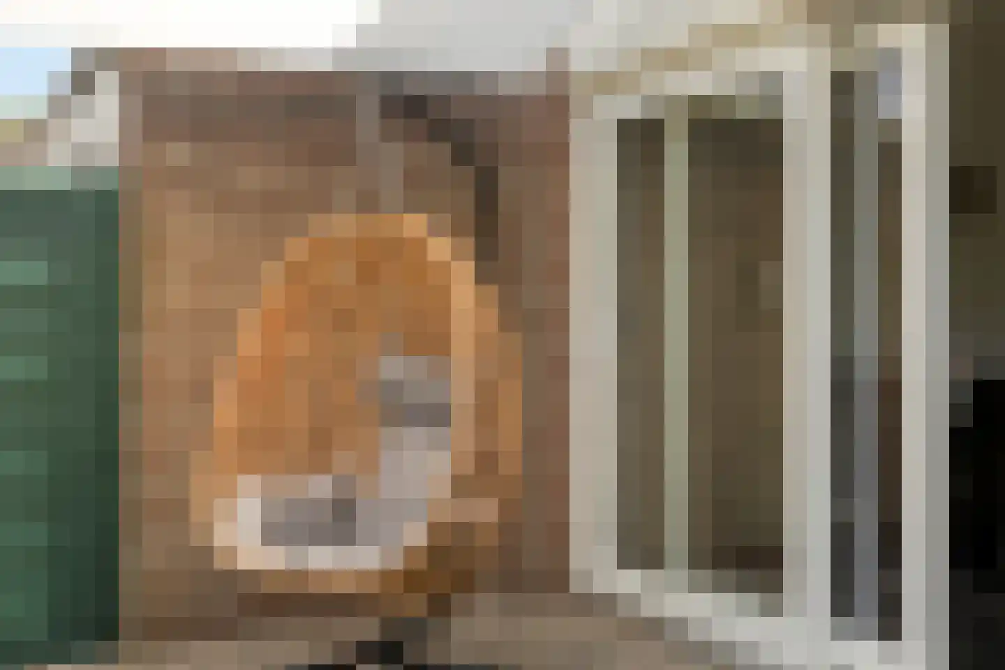 Esdoornlaan 20 Vlodrop thumbnail 31