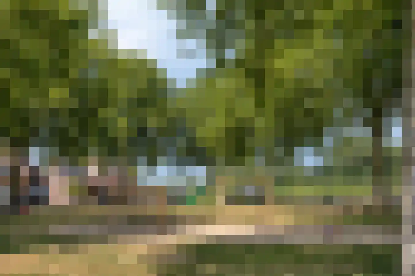 Esdoornlaan 20 Vlodrop thumbnail 35