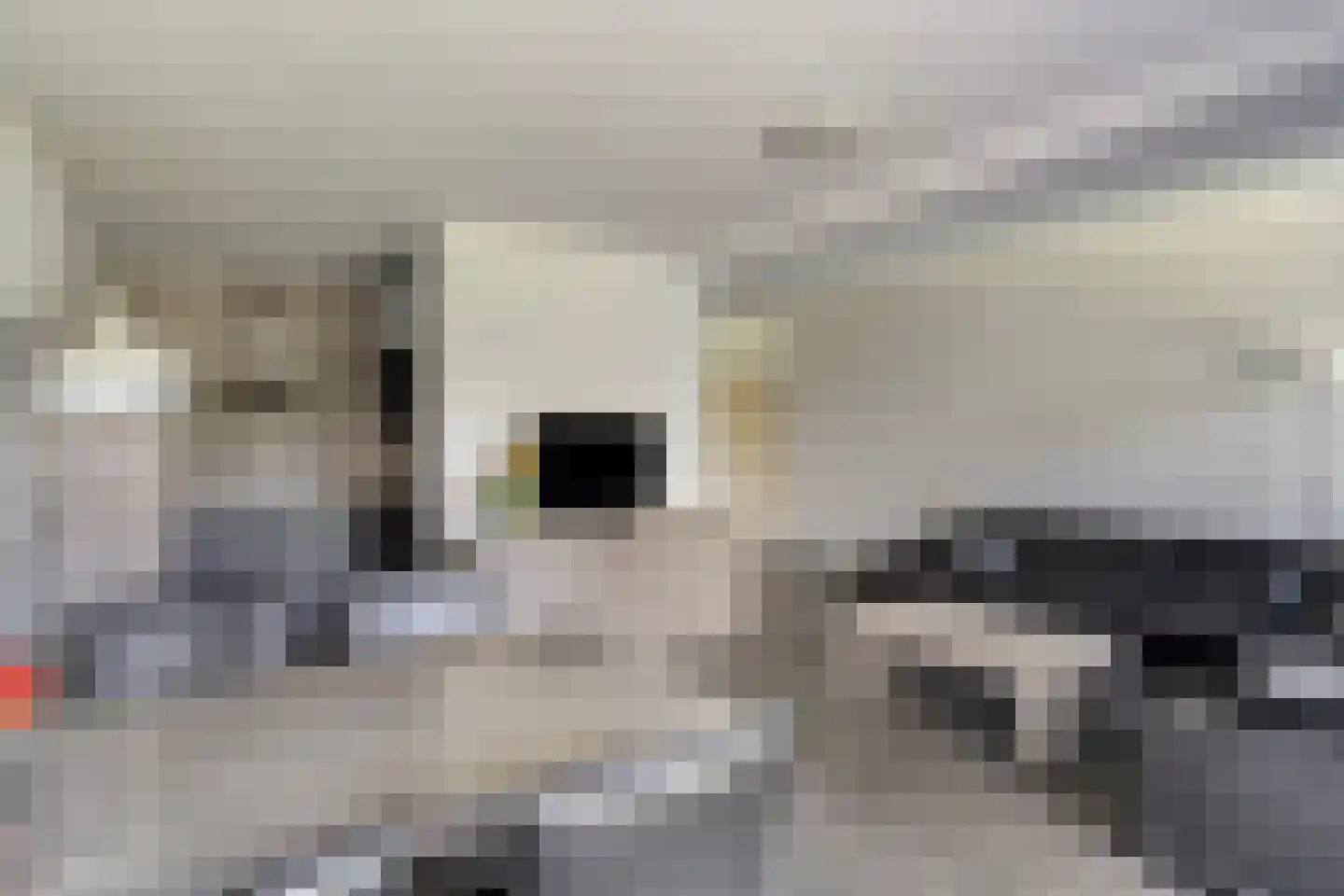 Esdoornlaan 20 Vlodrop thumbnail 8