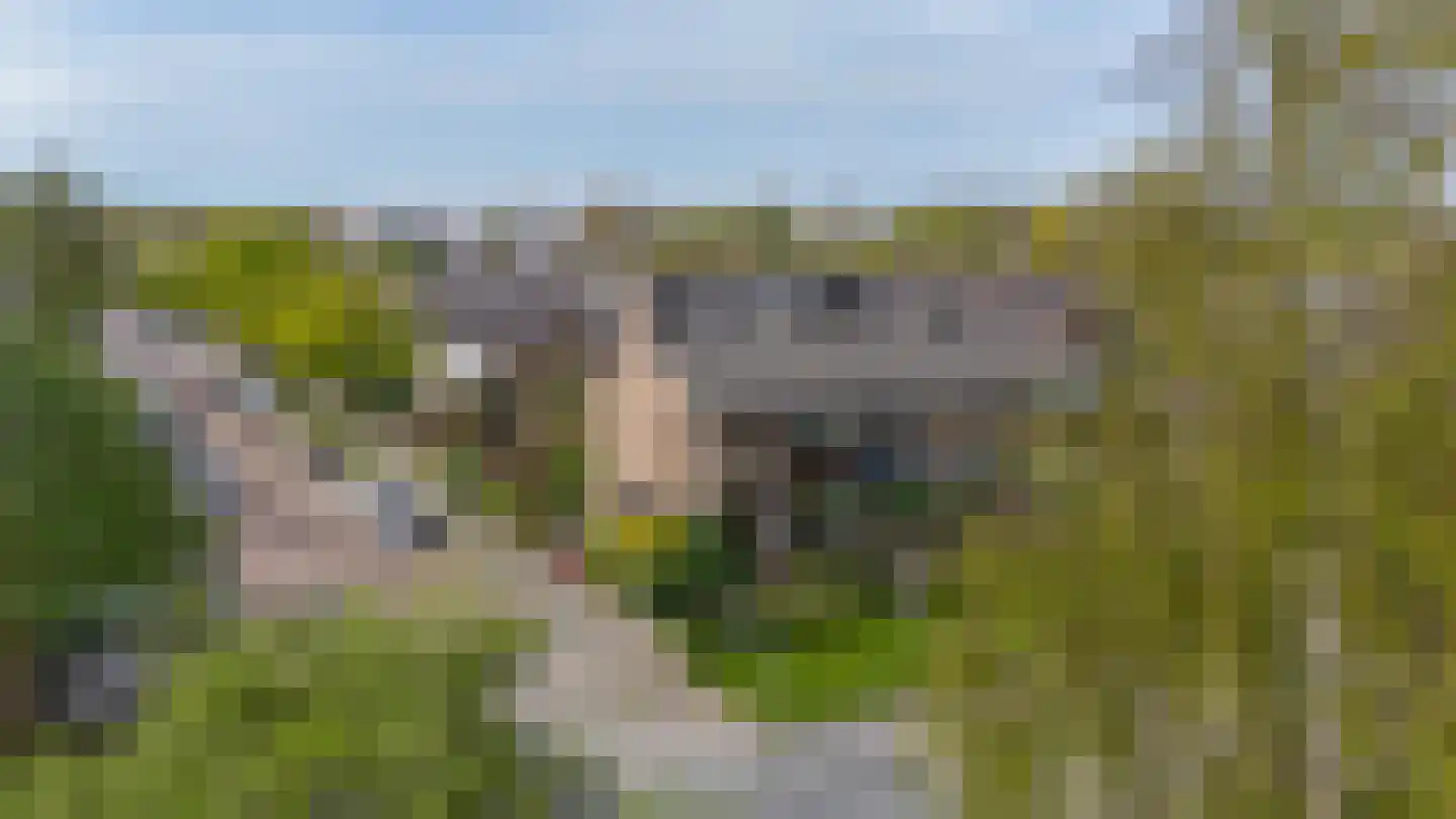 Esdoornlaan 204 Rozenburg