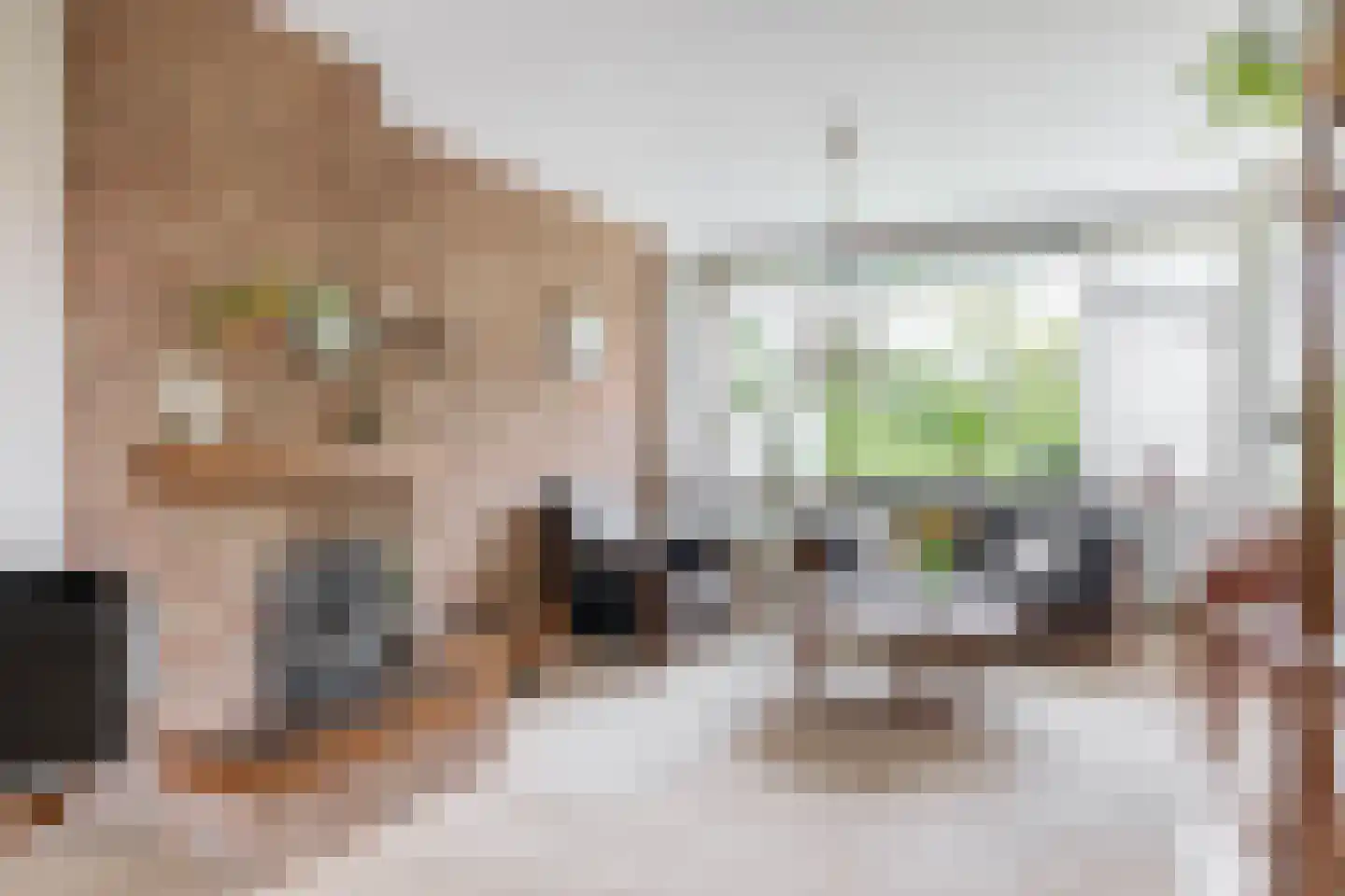 Esdoornlaan 204 Rozenburg thumbnail 10