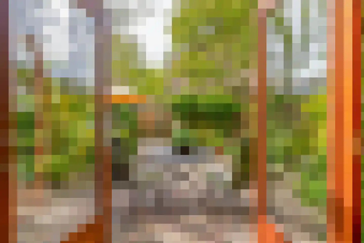 Esdoornlaan 204 Rozenburg thumbnail 15