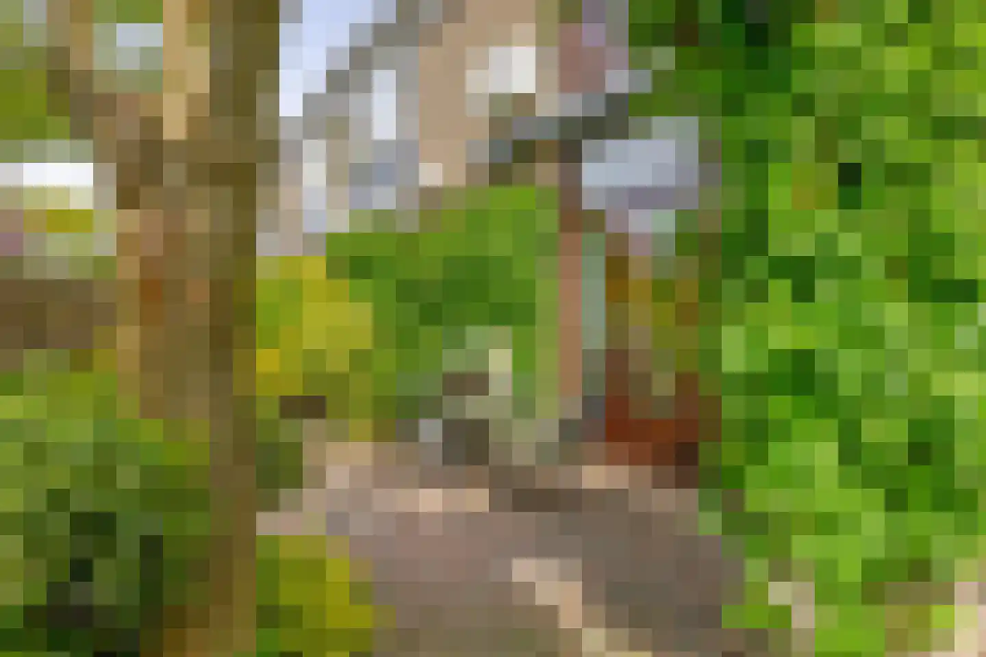 Esdoornlaan 204 Rozenburg thumbnail 24