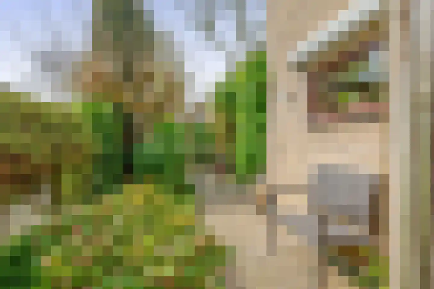 Esdoornlaan 204 Rozenburg thumbnail 29