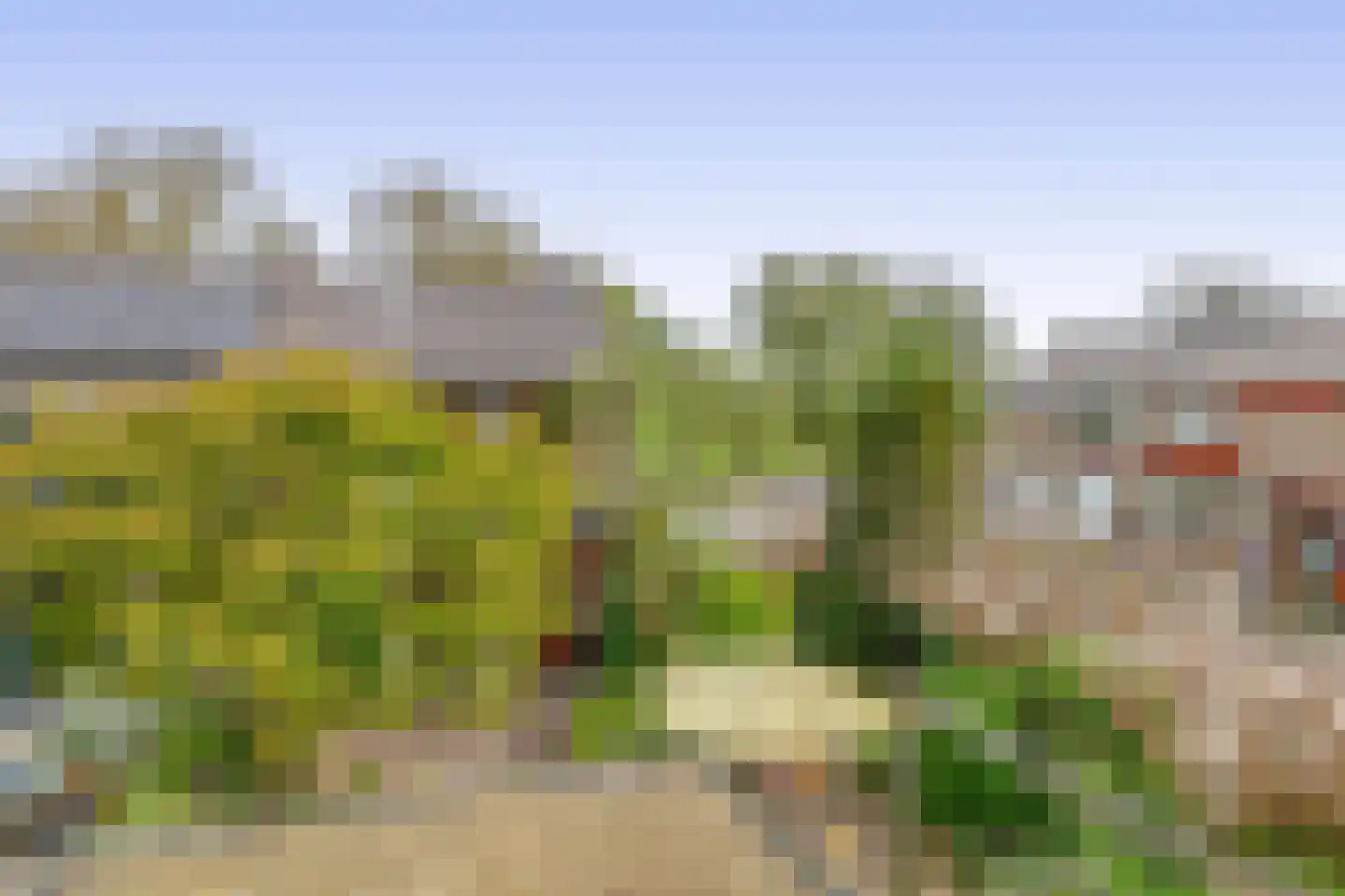Esdoornlaan 204 Rozenburg thumbnail 30