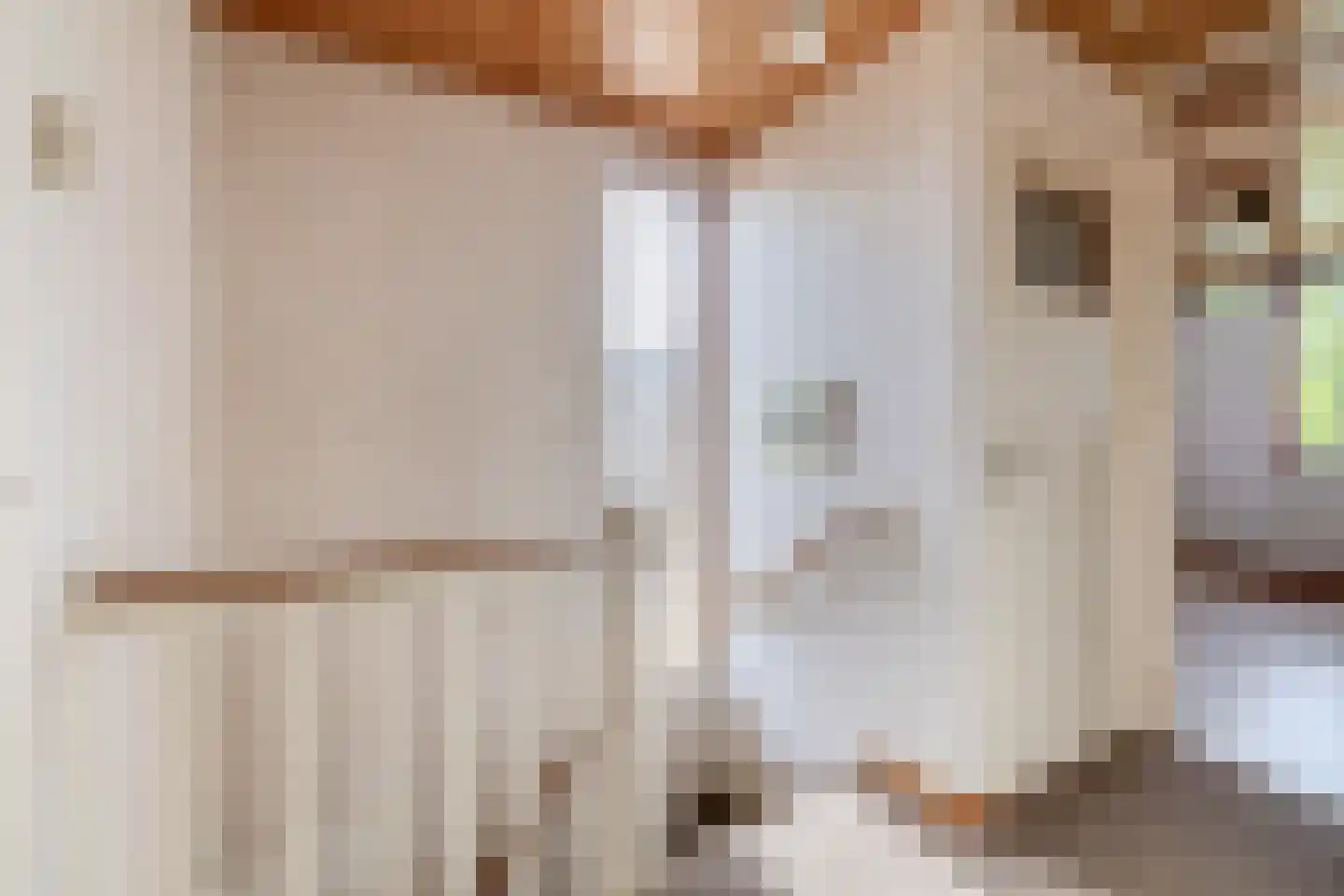 Esdoornlaan 204 Rozenburg thumbnail 31