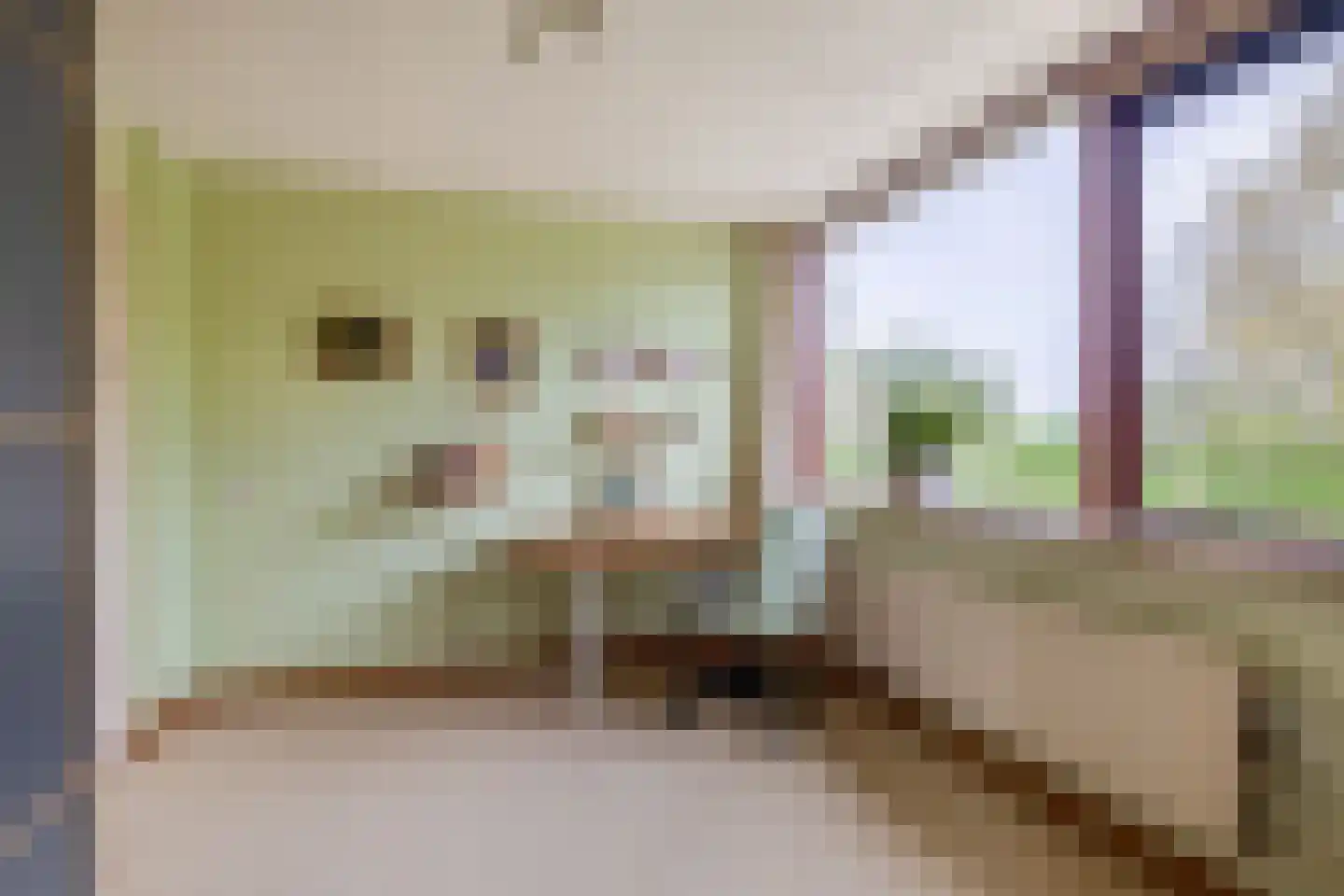 Esdoornlaan 204 Rozenburg thumbnail 34