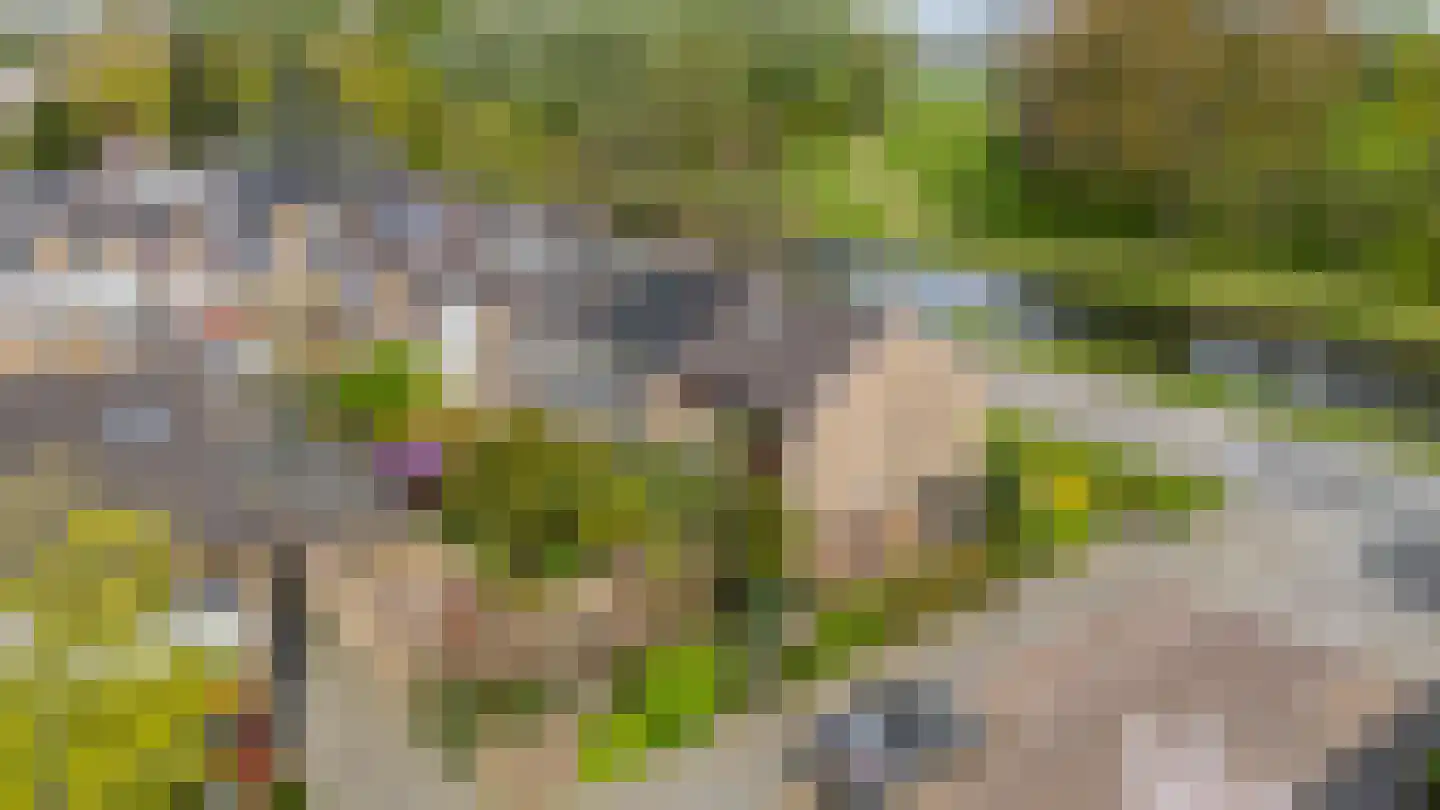 Esdoornlaan 204 Rozenburg thumbnail 42
