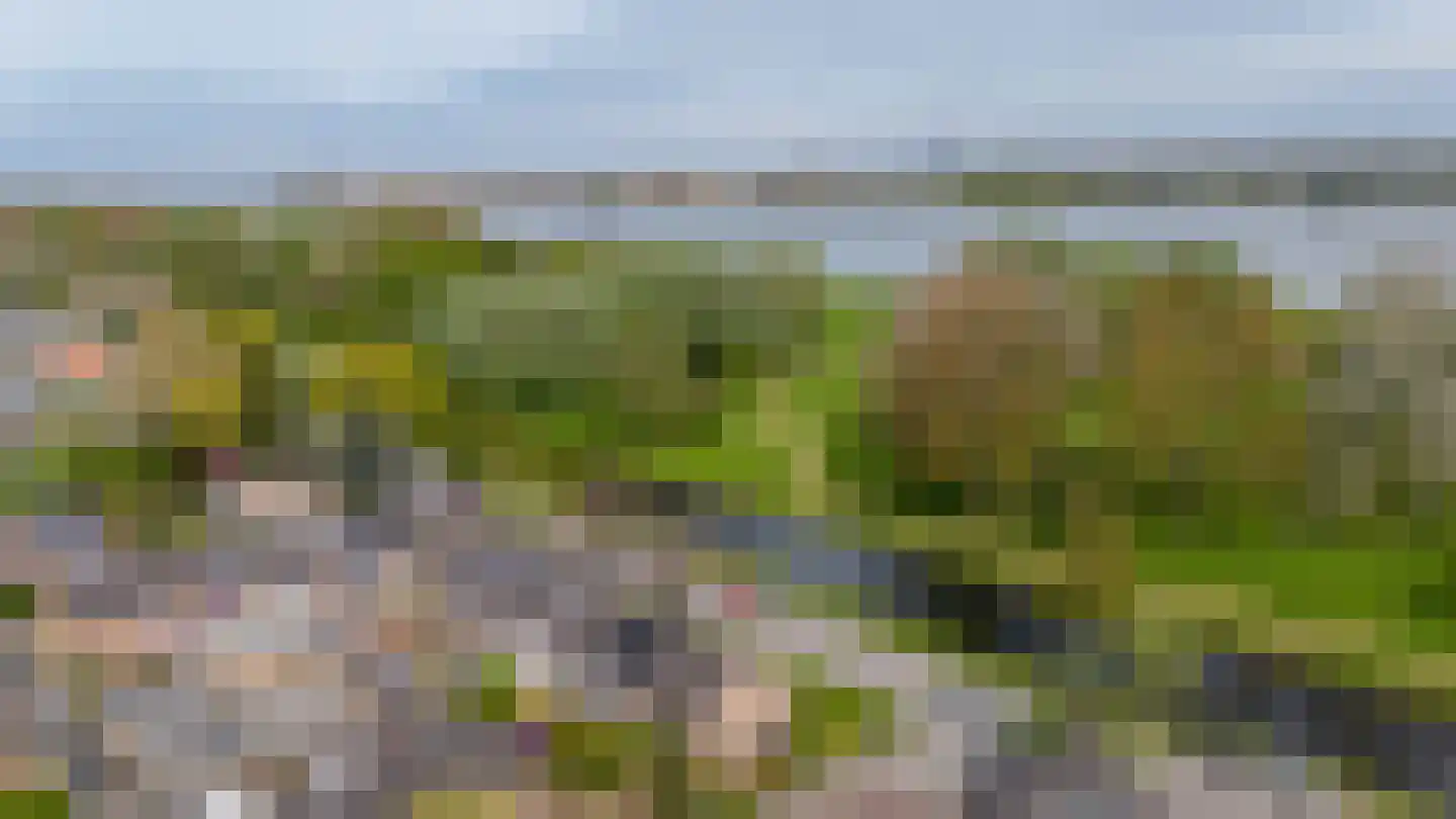Esdoornlaan 204 Rozenburg thumbnail 48