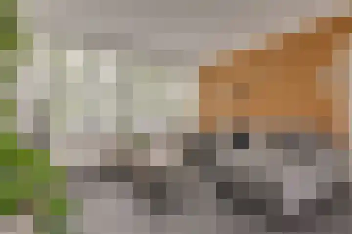 Esdoornlaan 208 Rozenburg thumbnail 13