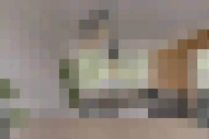Esdoornlaan 208 Rozenburg thumbnail 14