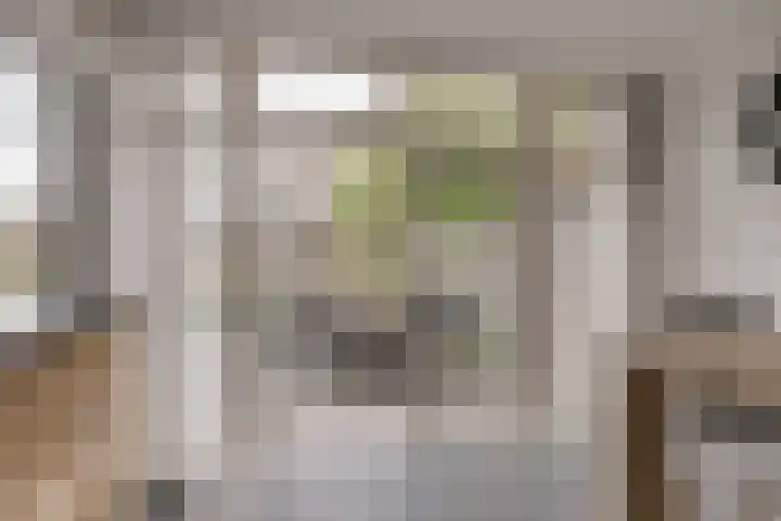 Esdoornlaan 208 Rozenburg thumbnail 18