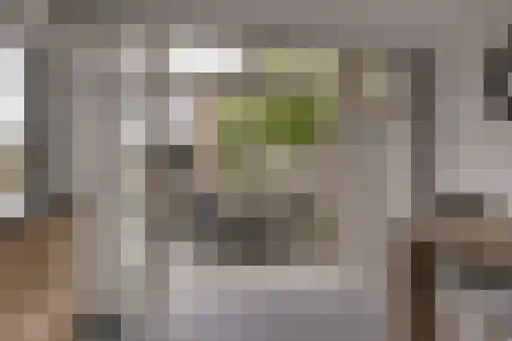 Esdoornlaan 208 Rozenburg thumbnail 19