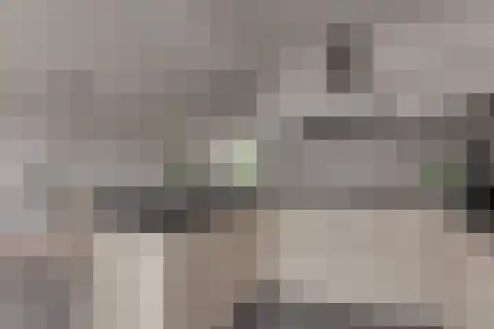 Esdoornlaan 208 Rozenburg thumbnail 20