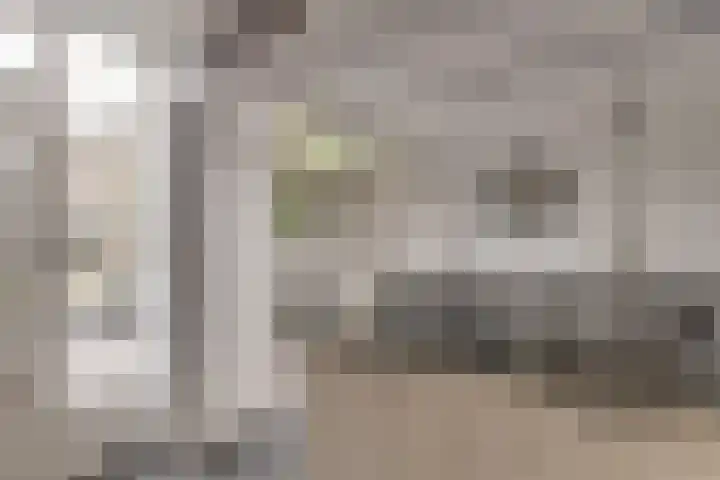 Esdoornlaan 208 Rozenburg thumbnail 21