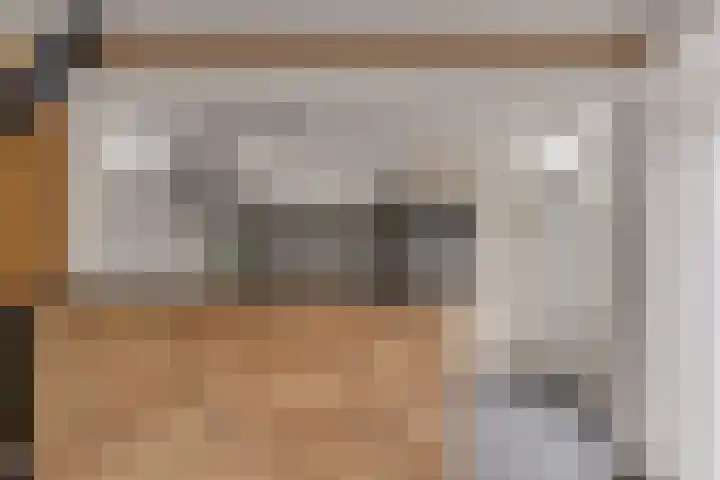 Esdoornlaan 208 Rozenburg thumbnail 22