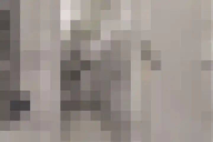 Esdoornlaan 208 Rozenburg thumbnail 31