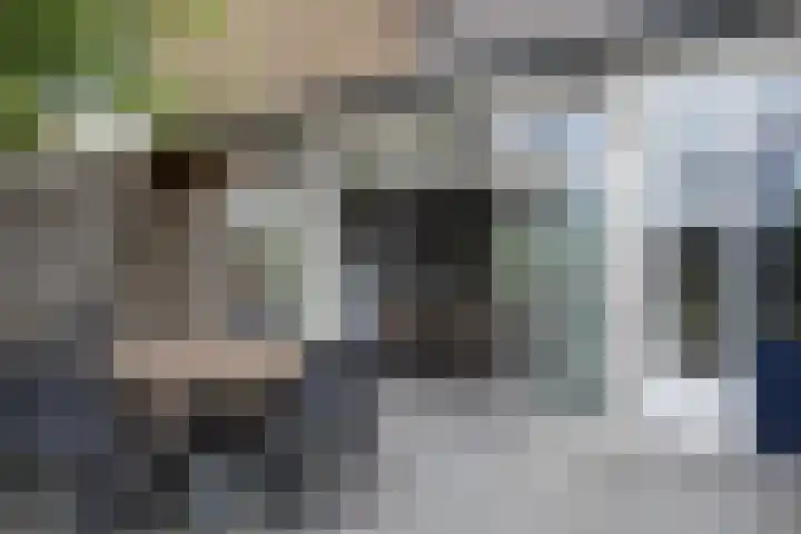 Esdoornlaan 208 Rozenburg thumbnail 36