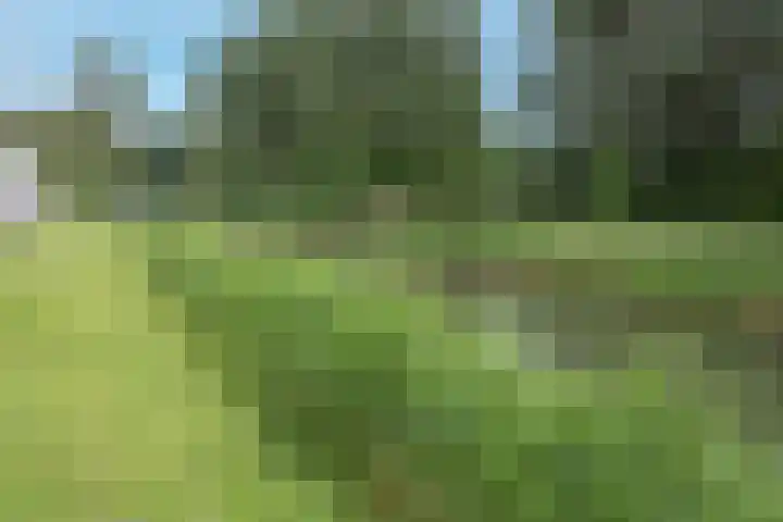 Esdoornlaan 208 Rozenburg thumbnail 39