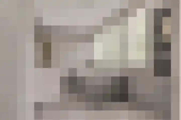 Esdoornlaan 208 Rozenburg thumbnail 4