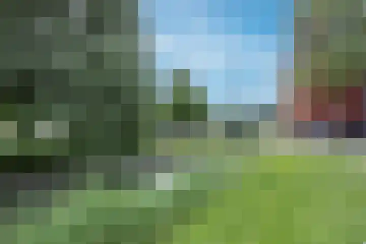 Esdoornlaan 208 Rozenburg thumbnail 40