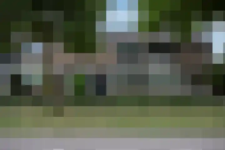Esdoornlaan 208 Rozenburg thumbnail 44