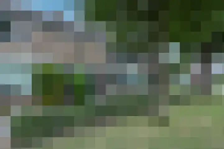 Esdoornlaan 208 Rozenburg thumbnail 6